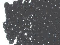 25g 5/0 Opaque Black Fringe Drops